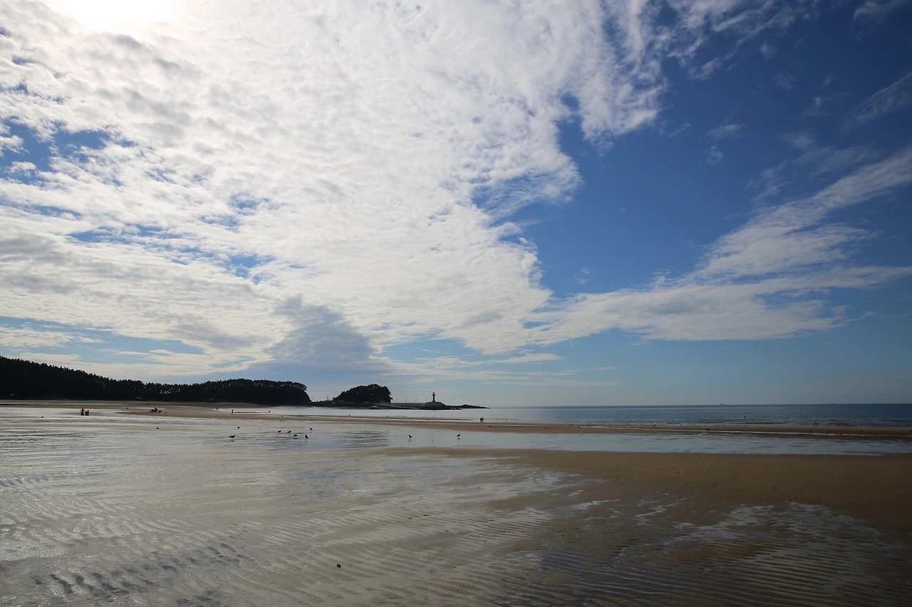 MG0A1301_новый размер.JPG