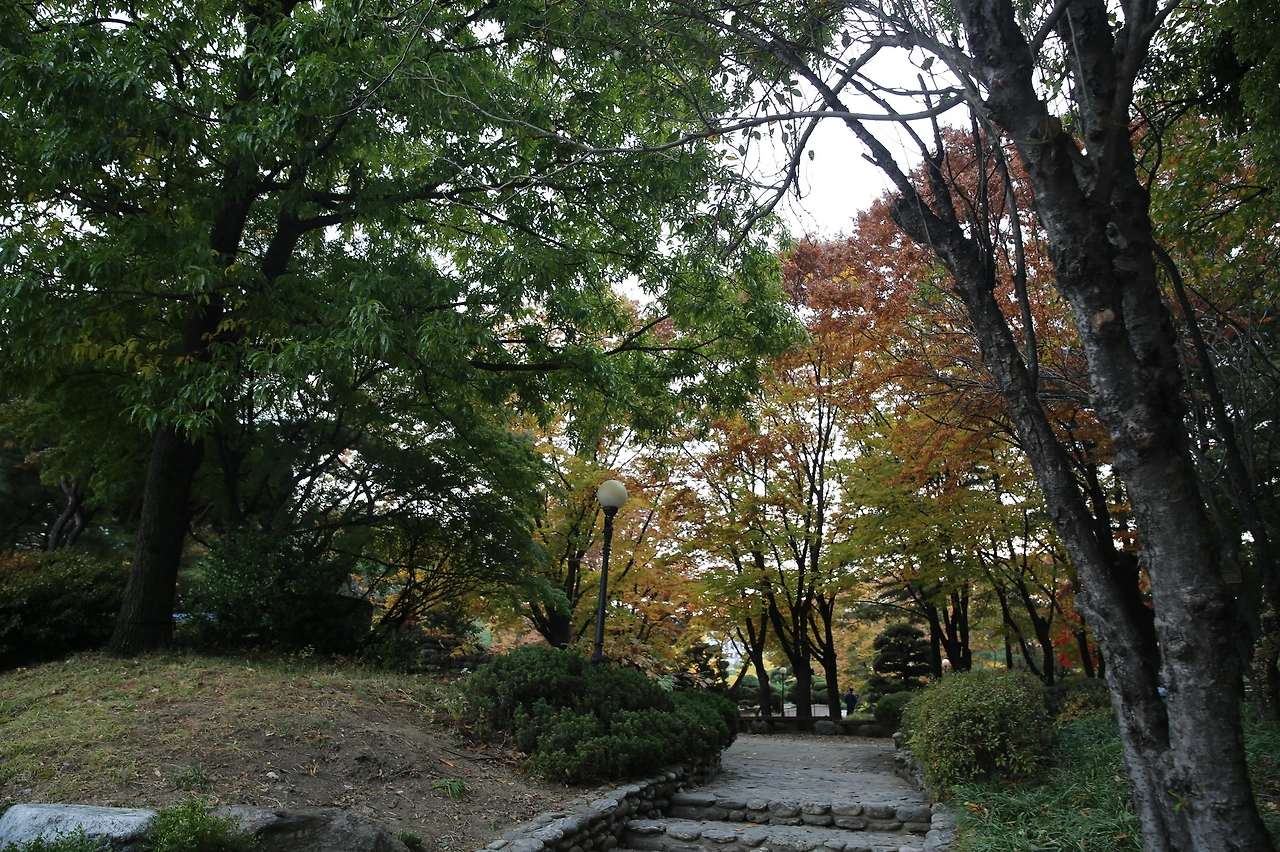 MG0A8392_resize - 복사본.JPG