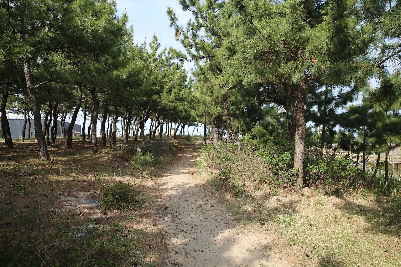 MG0A1008_новый размер.JPG