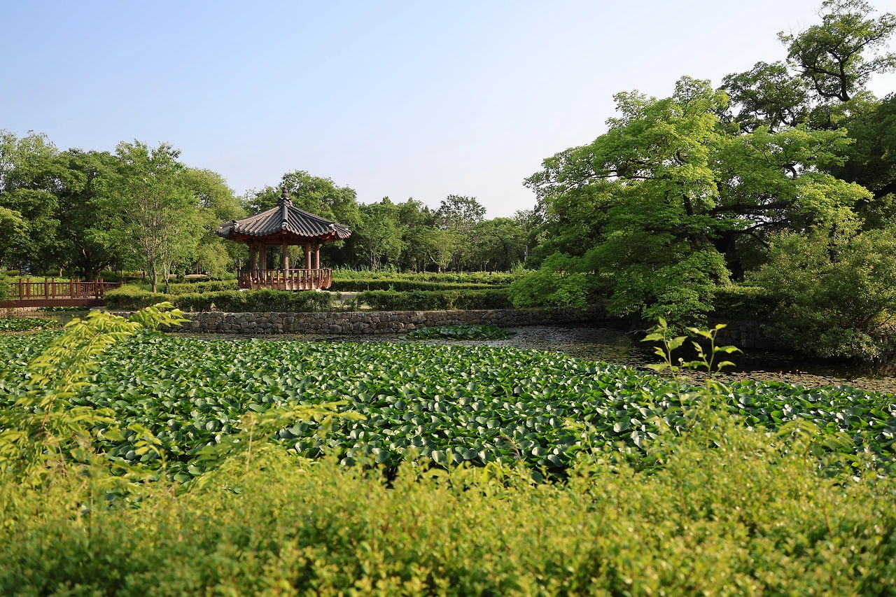 0R5A2988_новый размер.JPG