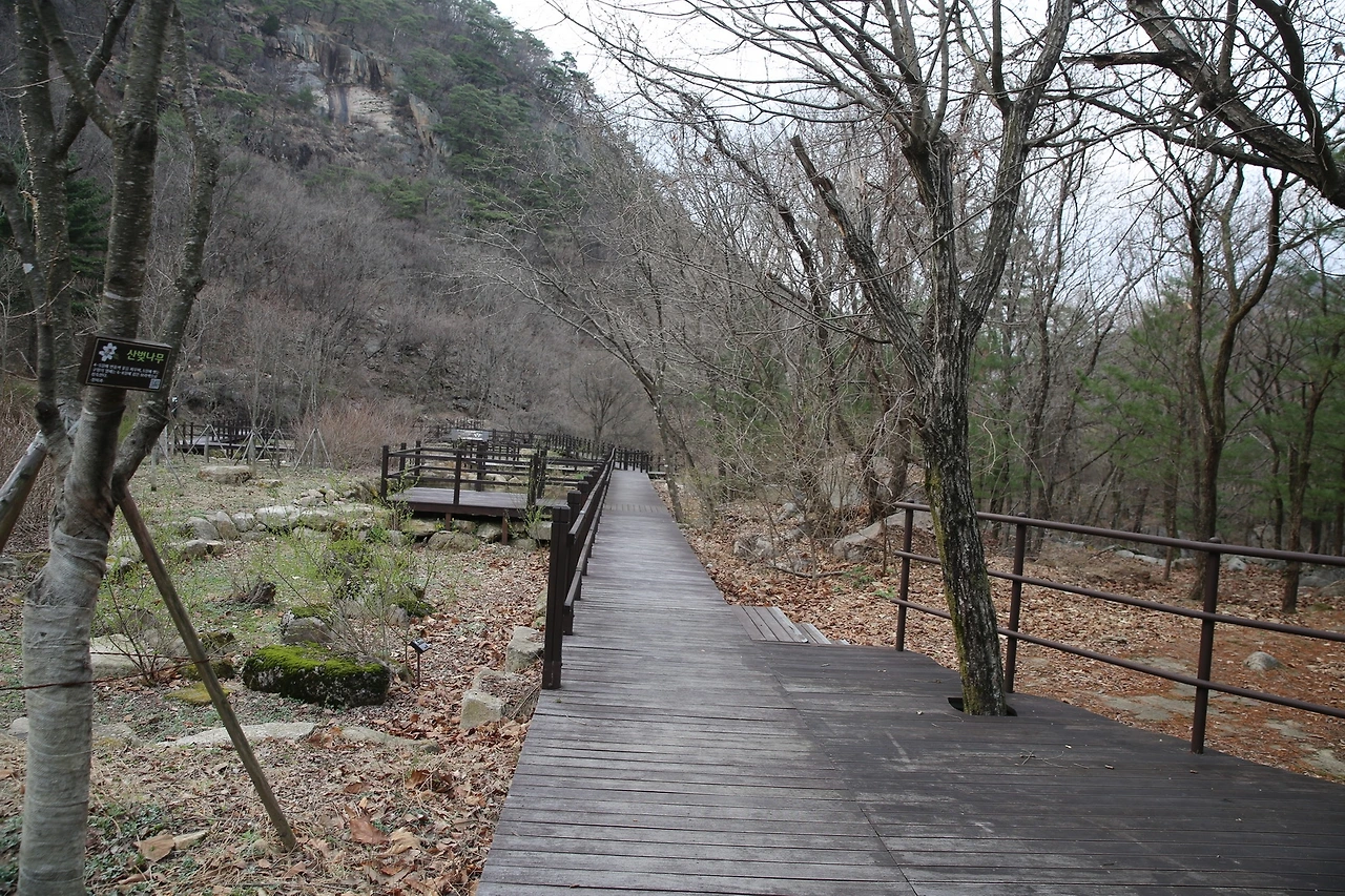 MG0A8376_новый размер.JPG