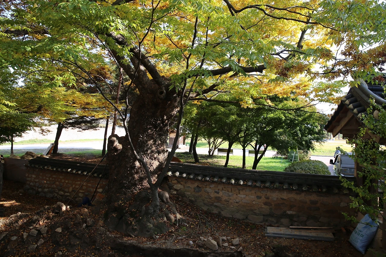 MG0A8344_новый размер.JPG