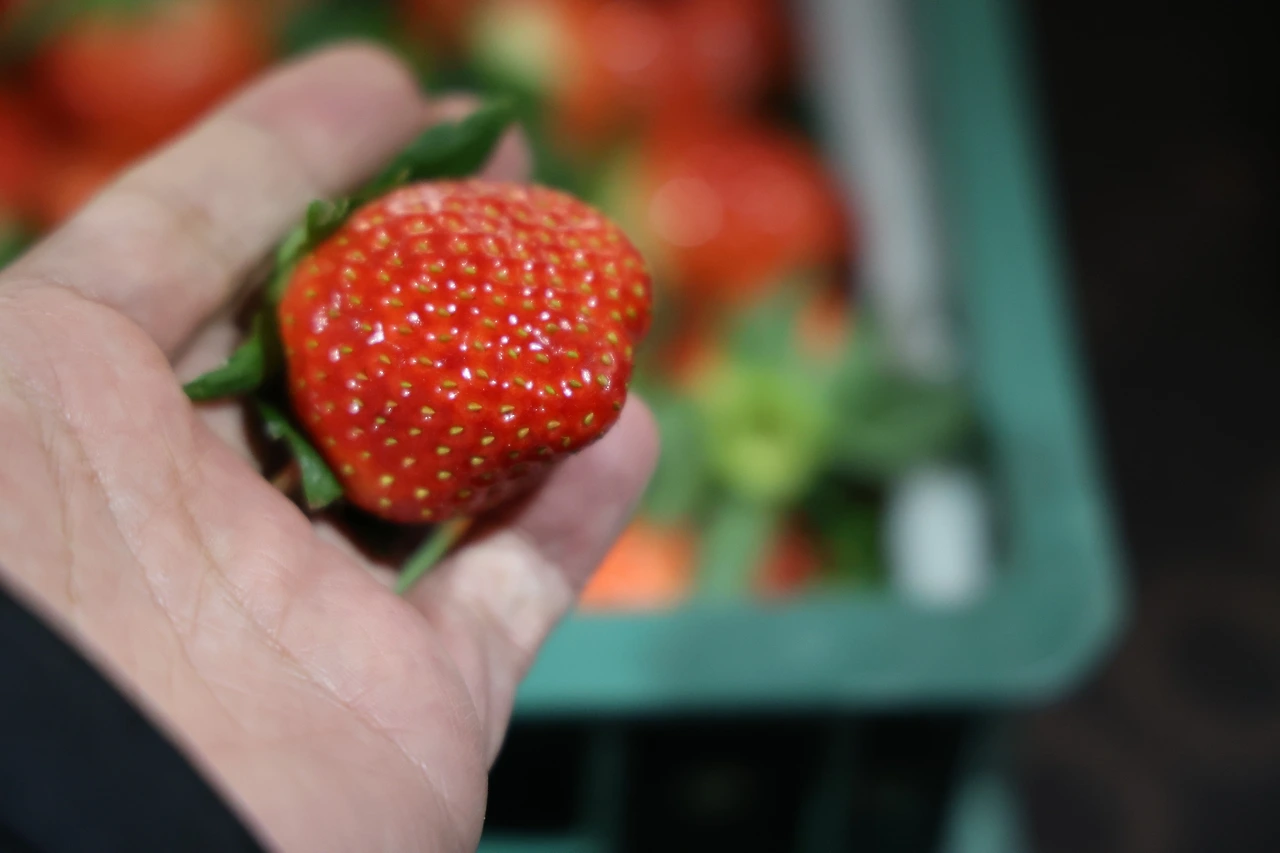 0R5A5544_новый размер.JPG