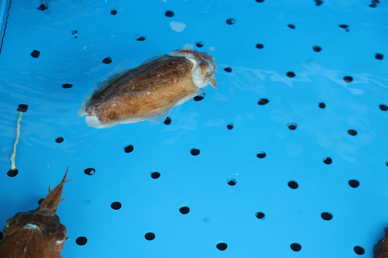 0R5A7752_новый размер.JPG