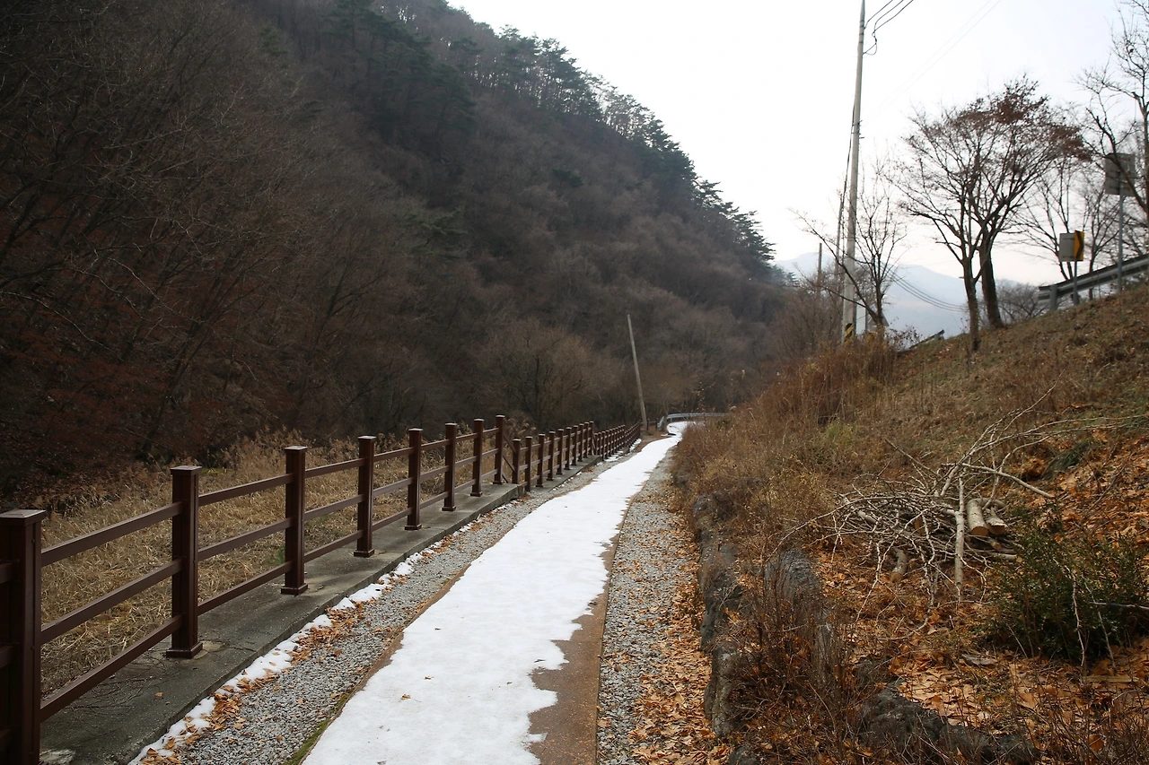 MG0A6419_новый размер.JPG