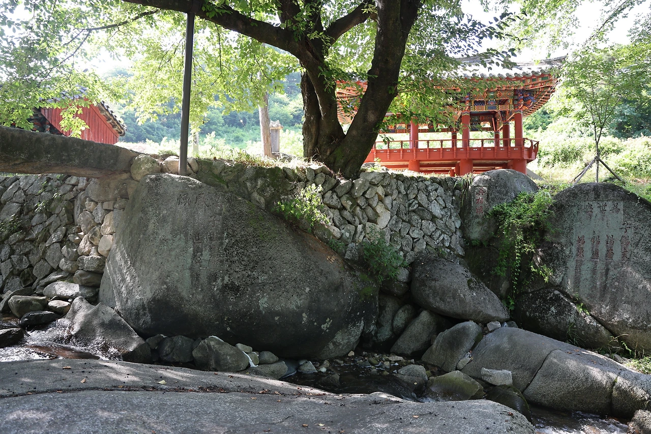 0R5A7933_новый размер.JPG