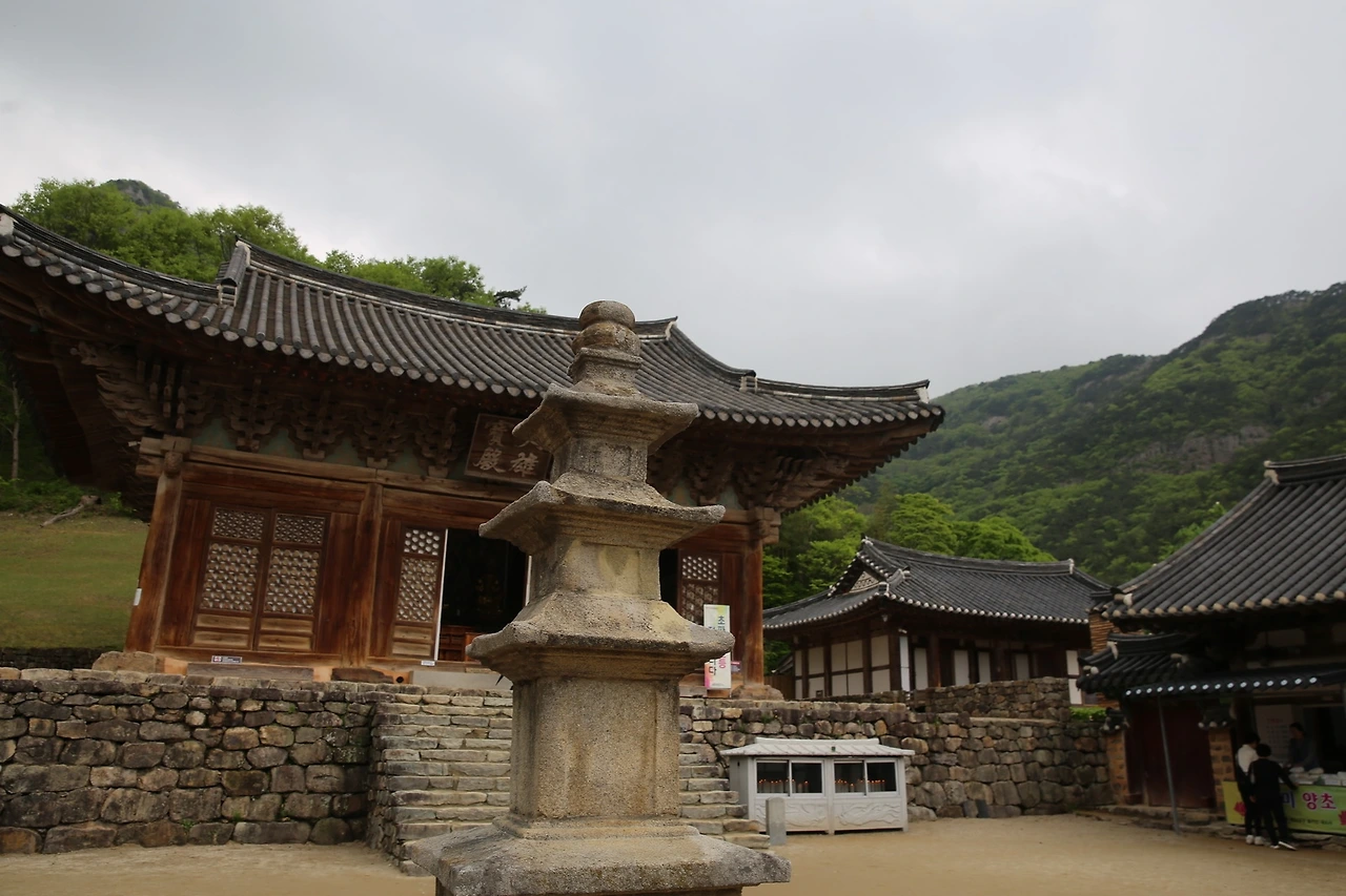 MG0A0610_новый размер.JPG