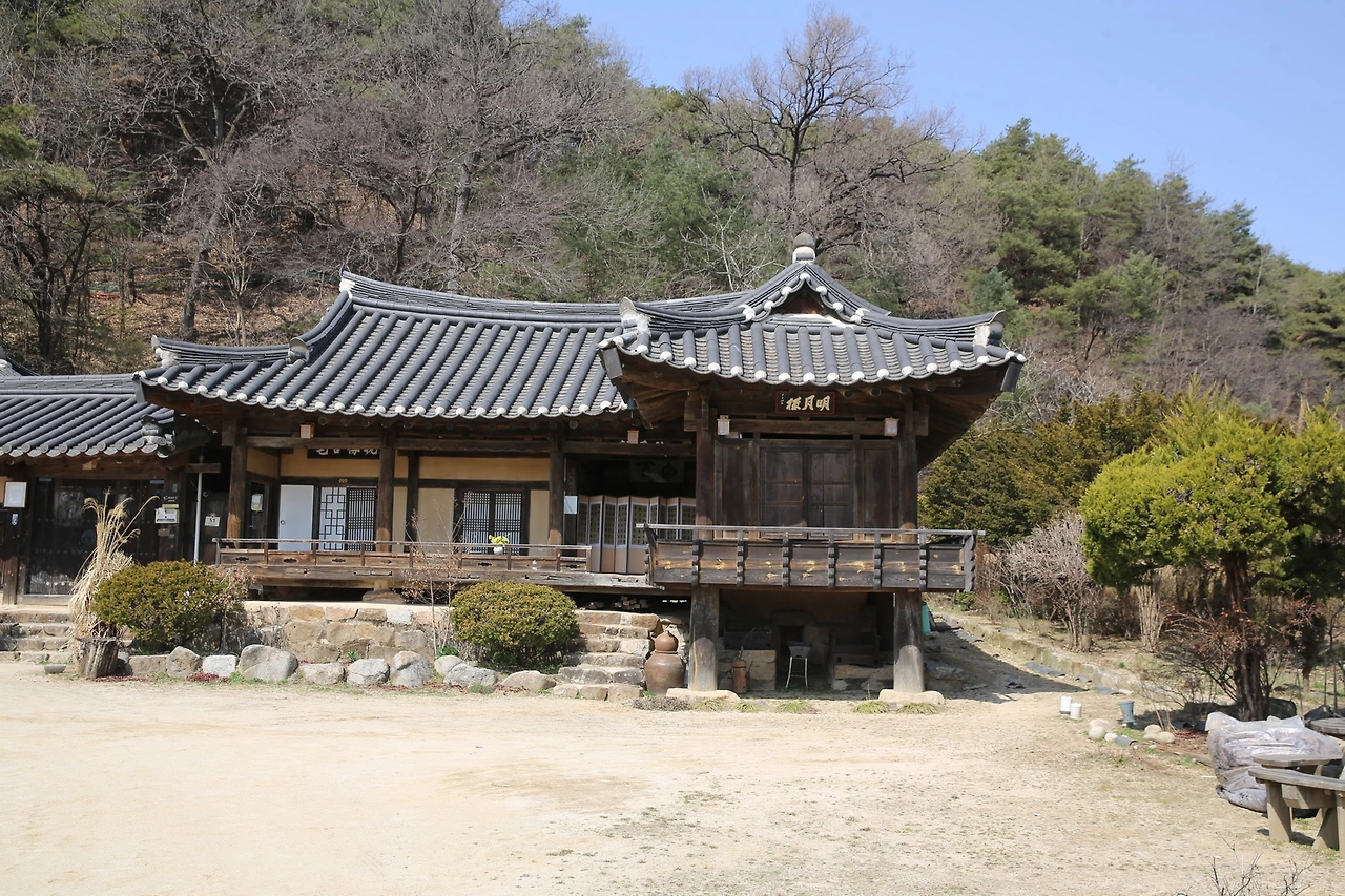 MG0A4736_новый размер.JPG