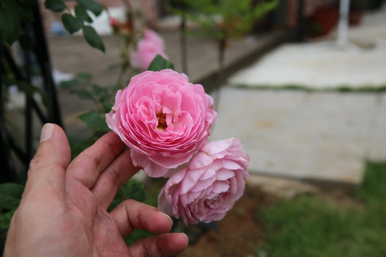 MG0A6965_новый размер.JPG