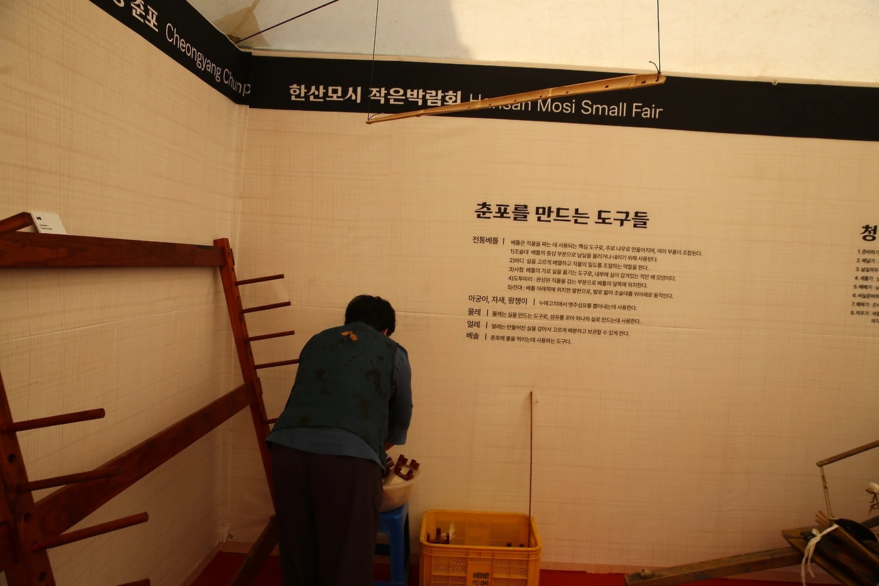 MG0A6693_новый размер.JPG