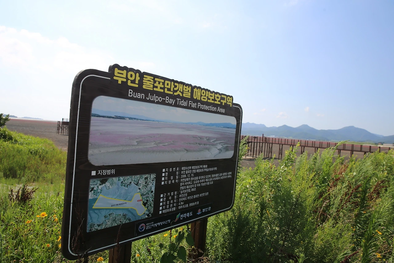 MG0A5289_новый размер.JPG