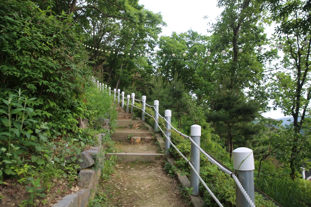 MG0A1087_новый размер.JPG