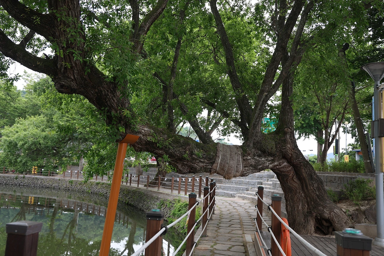 0R5A4372_новый размер.JPG