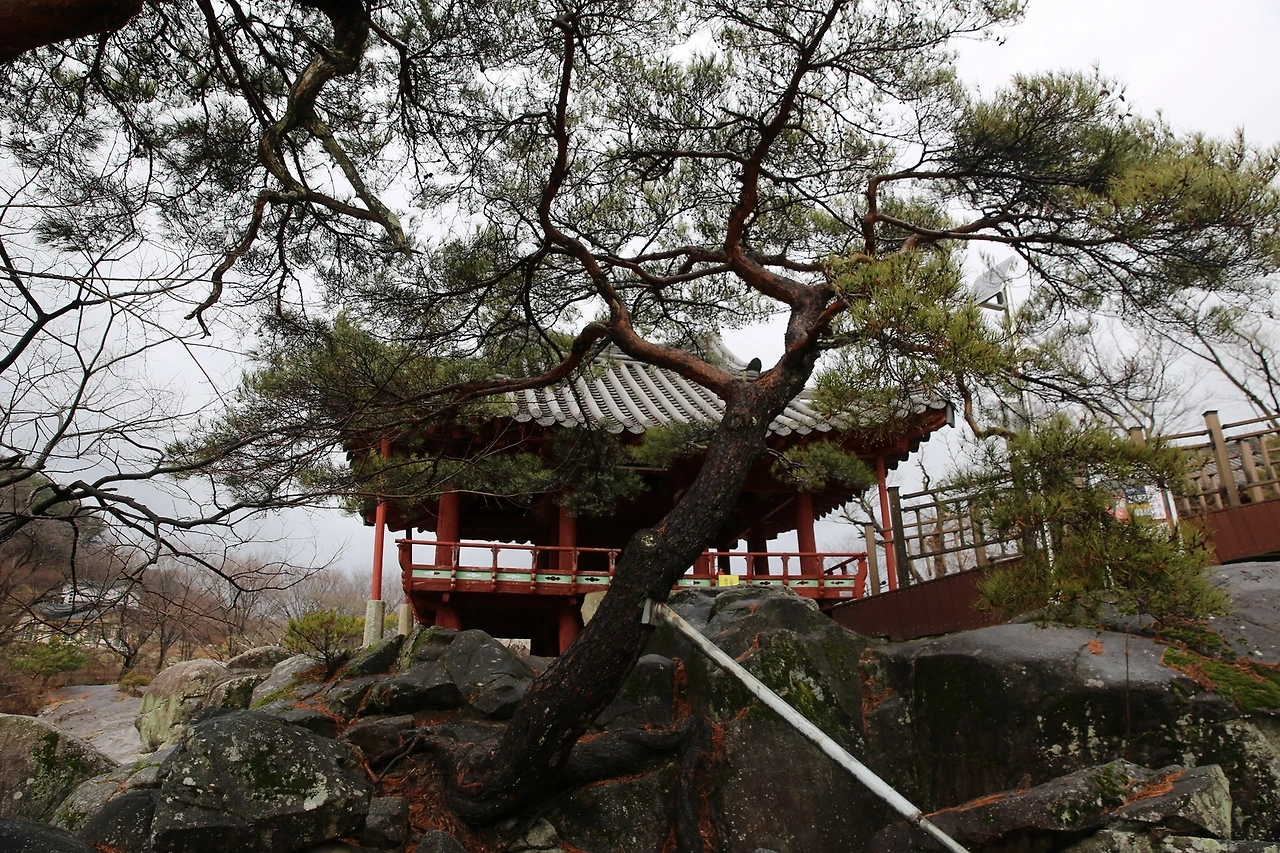 MG0A0299_новый размер.JPG