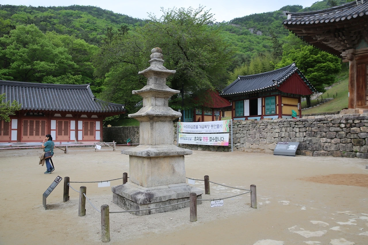 MG0A0605_новый размер.JPG