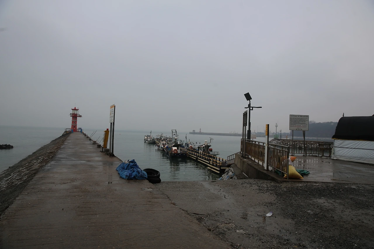 MG0A5831_новый размер.JPG