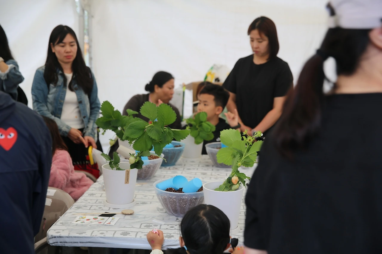 MG0A3185_новый размер.JPG