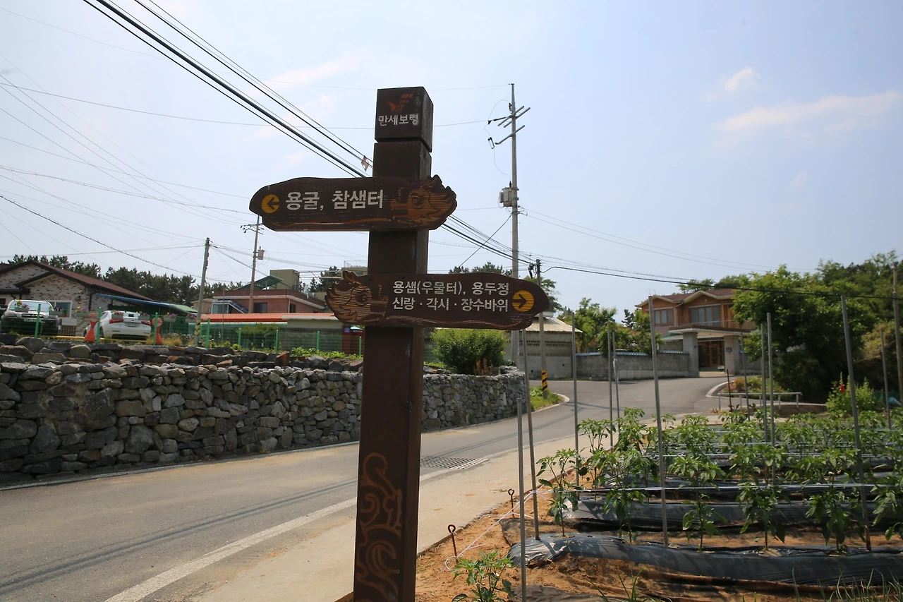 MG0A6308_новый размер.JPG