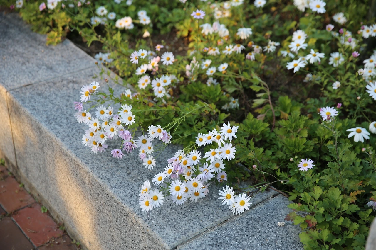 MG0A7234_новый размер.JPG