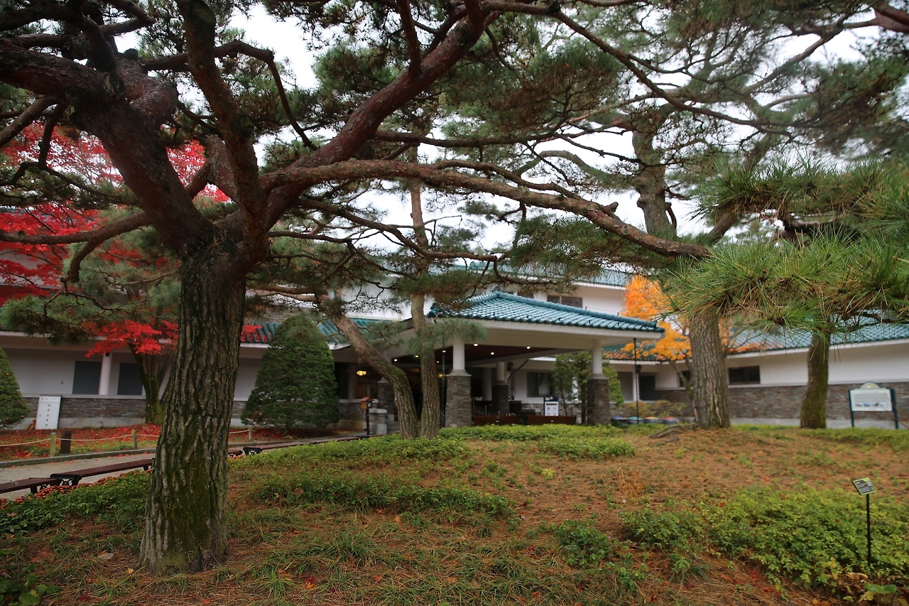 MG0A2007_новый размер.JPG