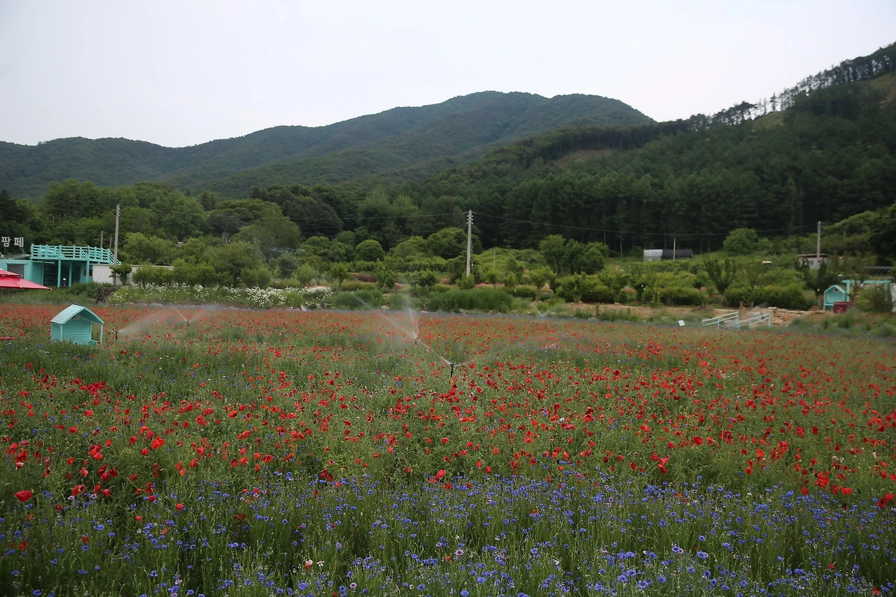 MG0A1174_новый размер.JPG