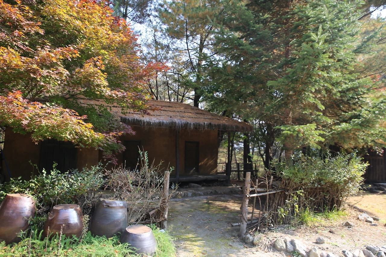 MG0A8010_новый размер.JPG