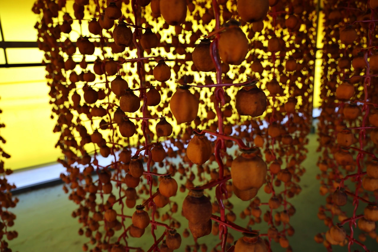 0R5A5502_новый размер.JPG