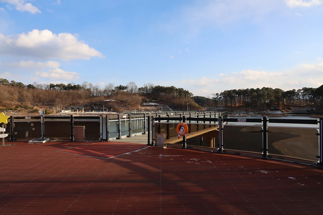 0R5A8033_новый размер.JPG