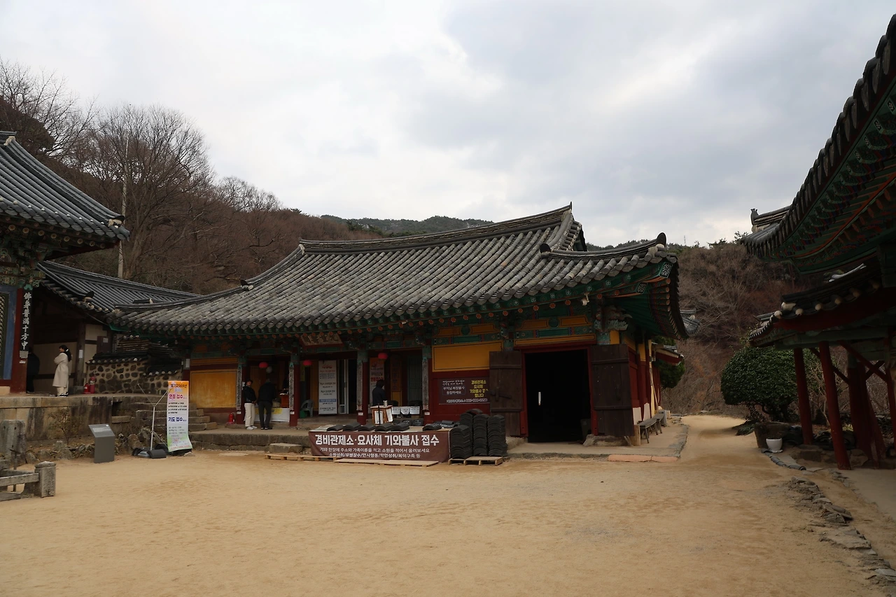 0R5A2833_новый размер.JPG