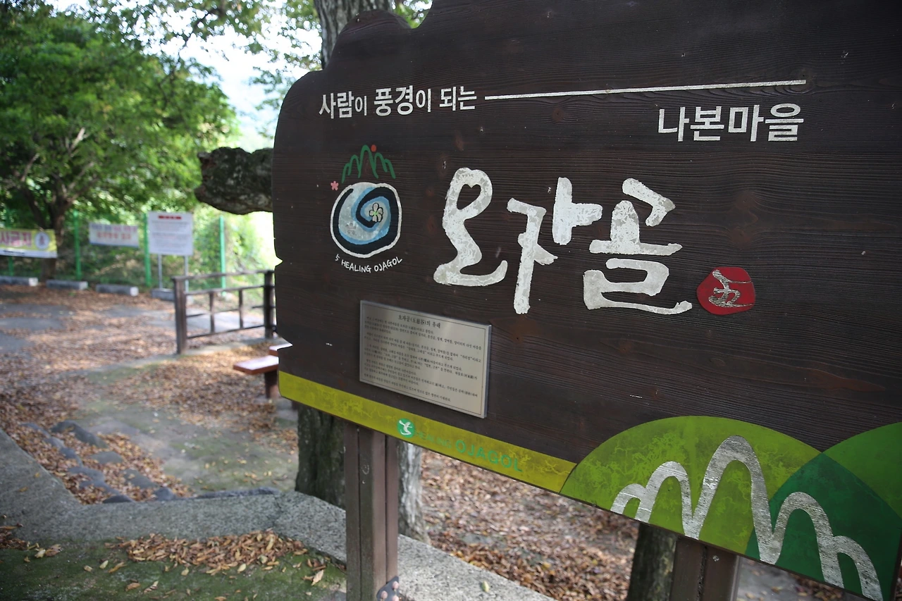 MG0A5852_новый размер.JPG