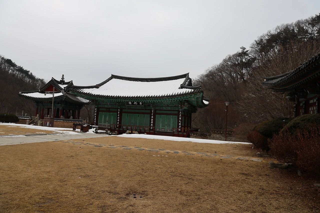 0R5A9563_новый размер.JPG