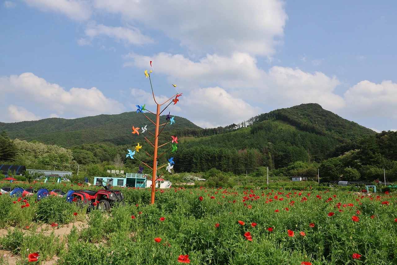 0R5A1534_новый размер.JPG