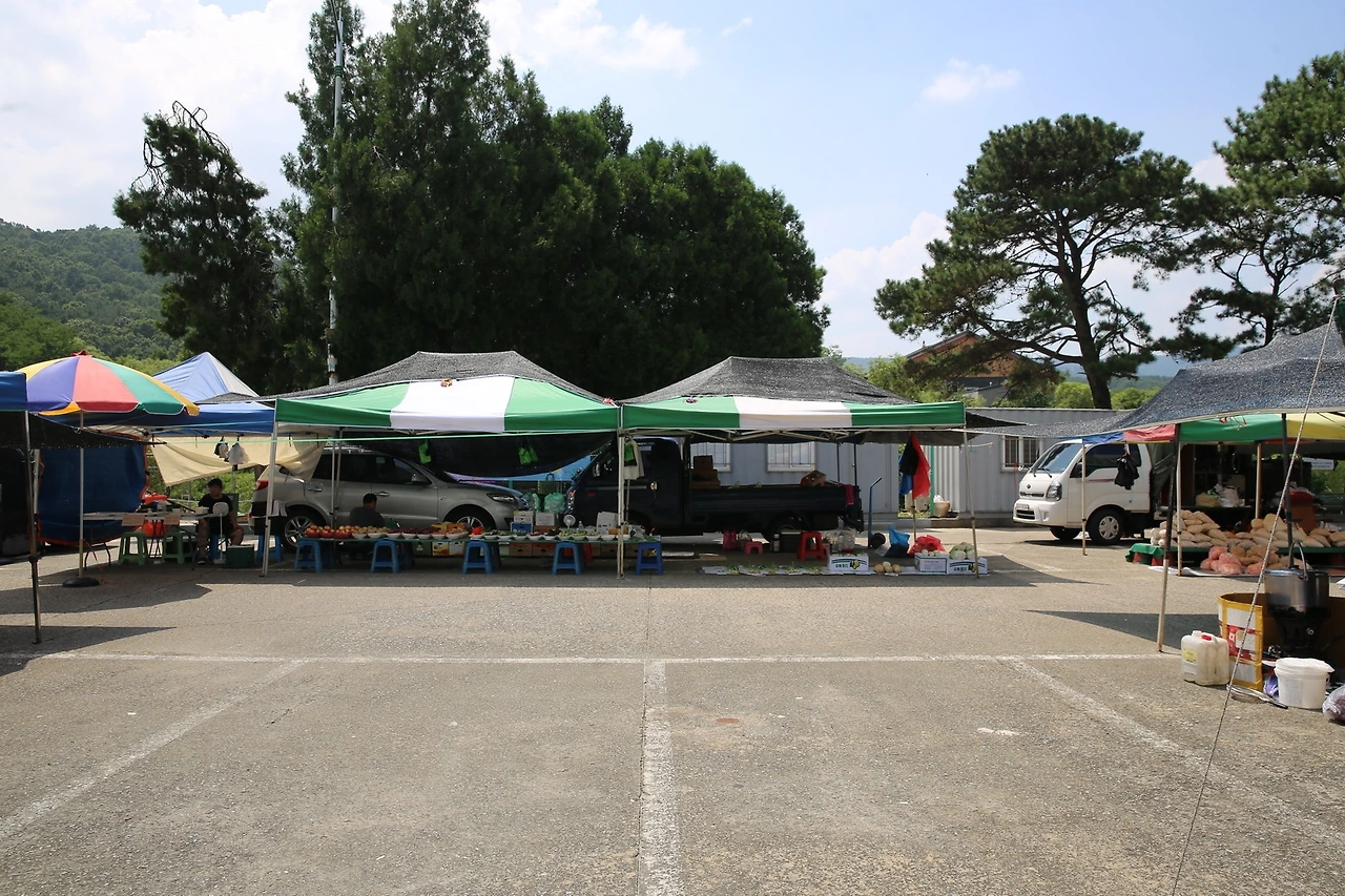 MG0A6890_новый размер.JPG