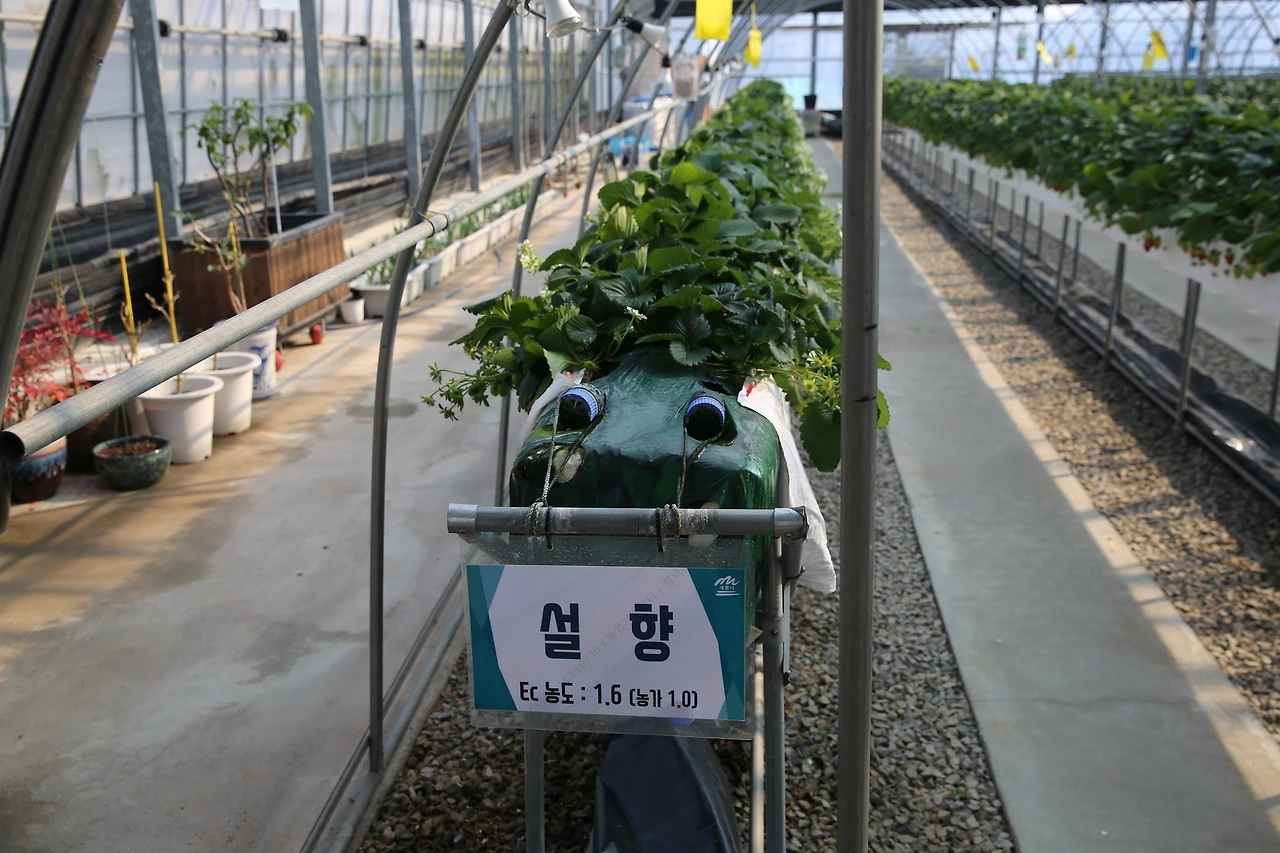 MG0A9427_новый размер.JPG