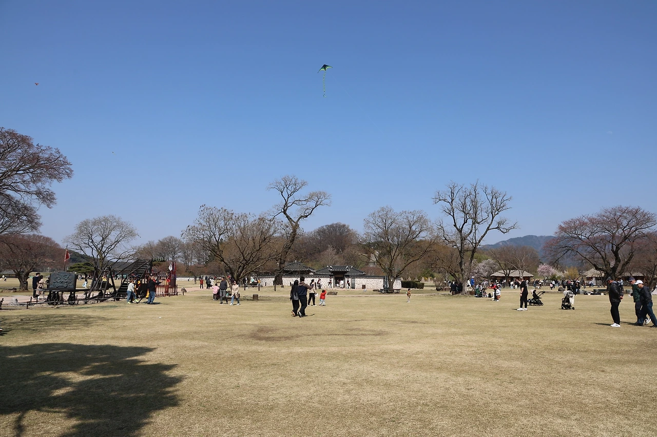 0R5A5979_новый размер.JPG