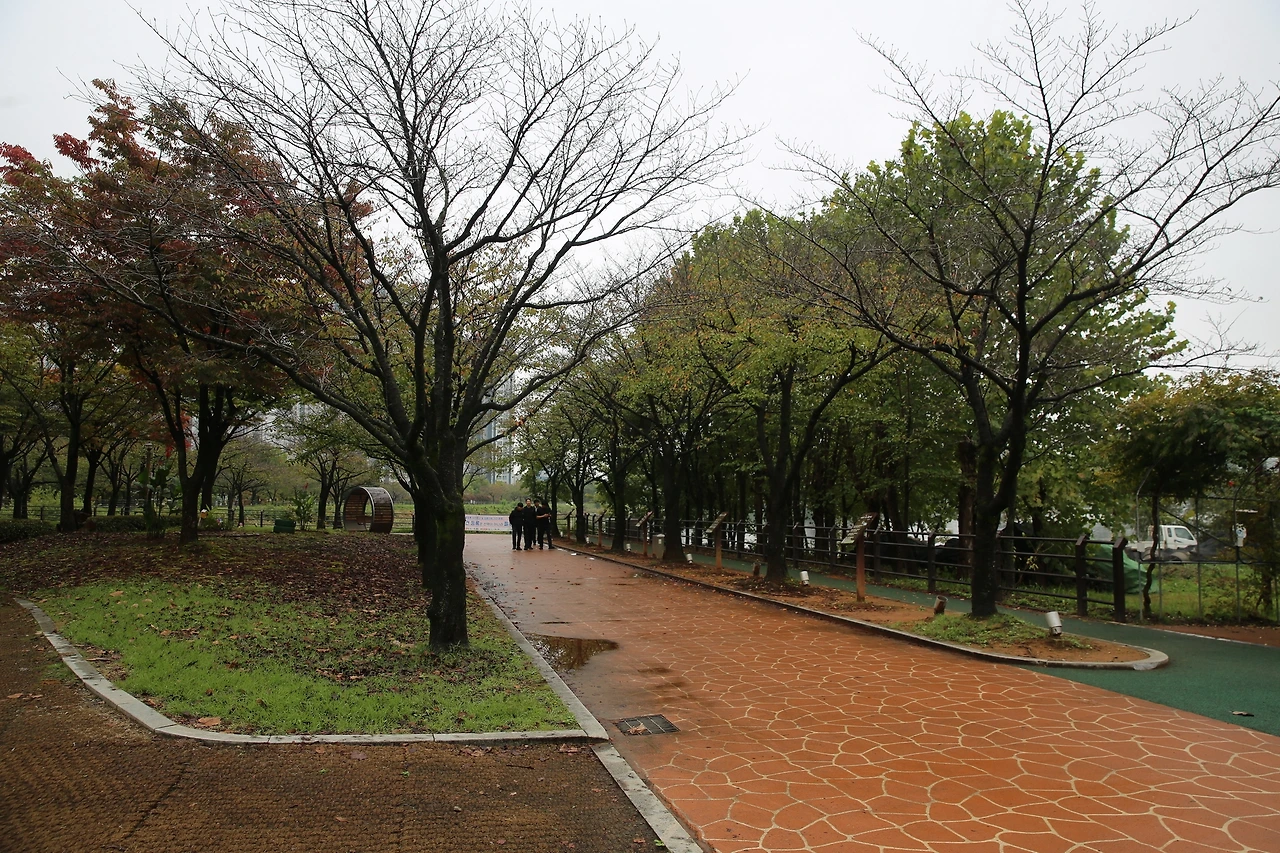 MG0A5211_новый размер.JPG