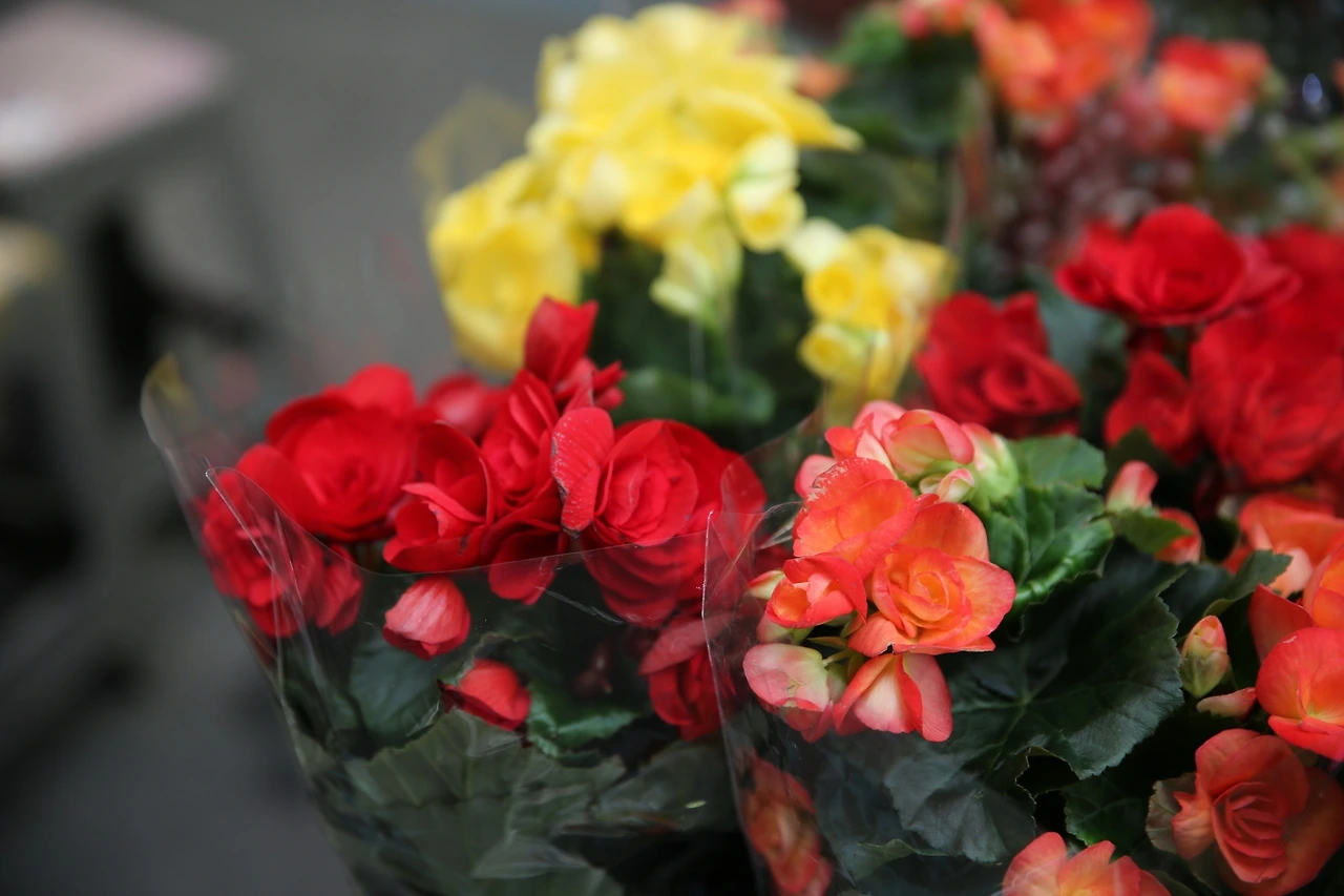 MG0A8893_новый размер.JPG