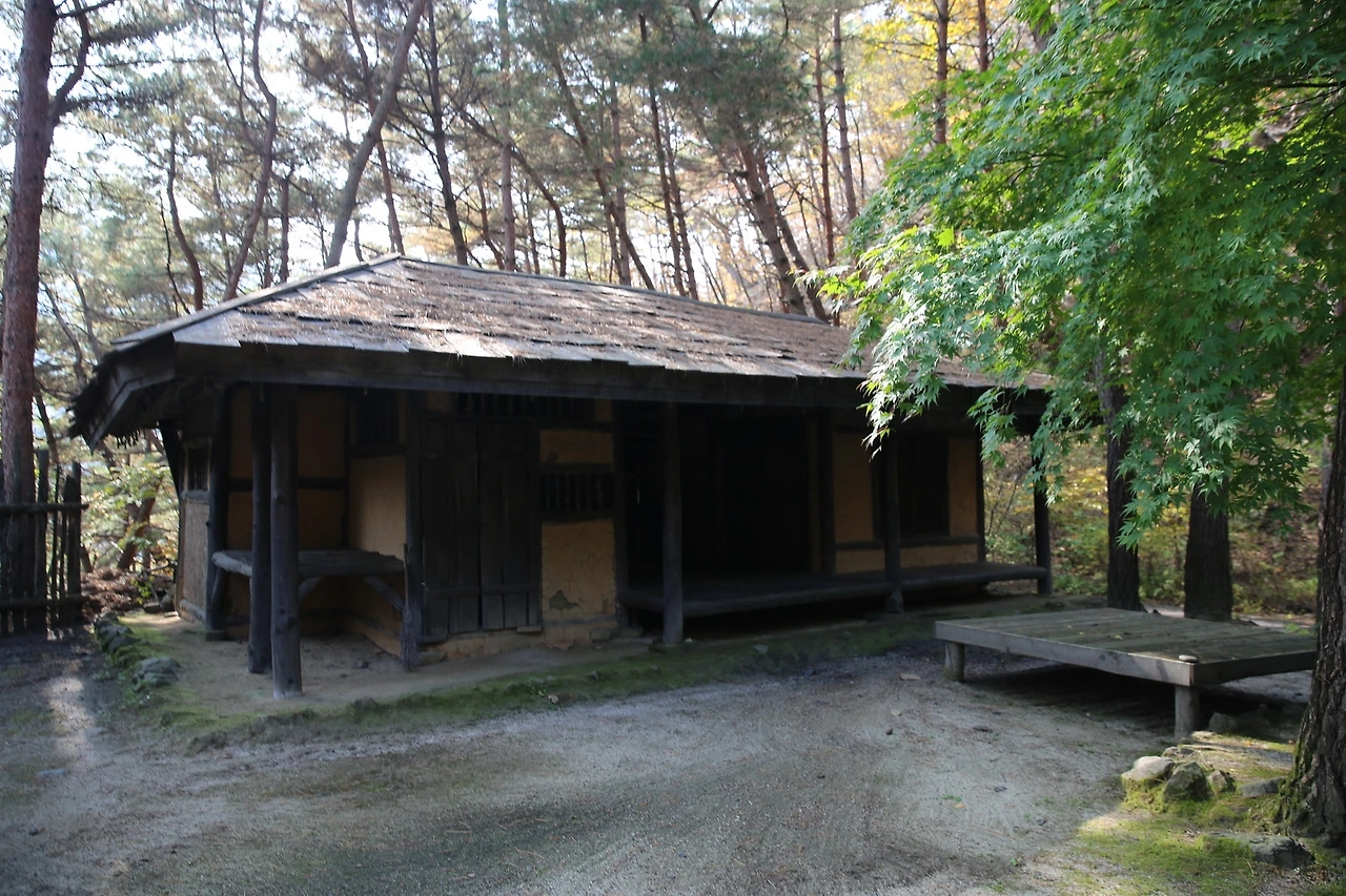 MG0A8017_новый размер.JPG