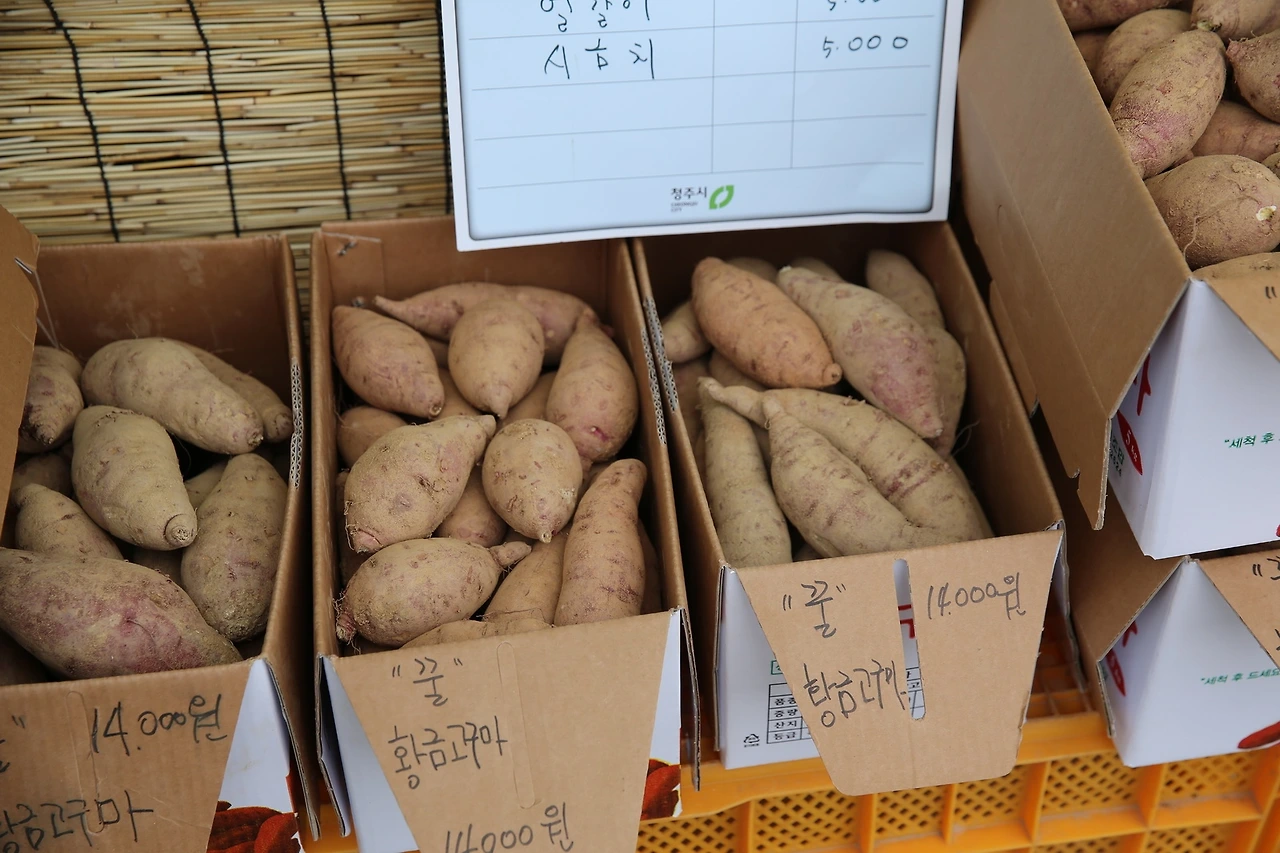 MG0A5546_новый размер.JPG