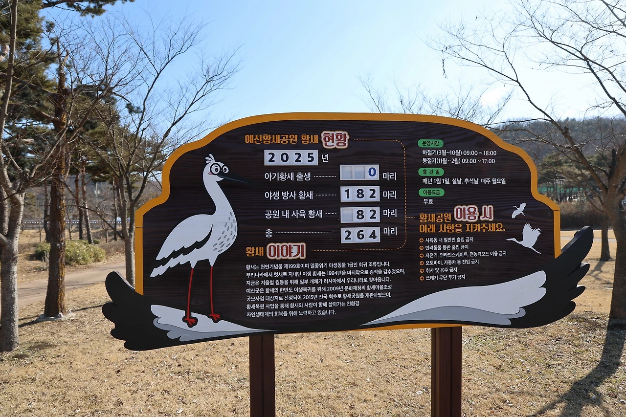 0R5A9689_новый размер.JPG