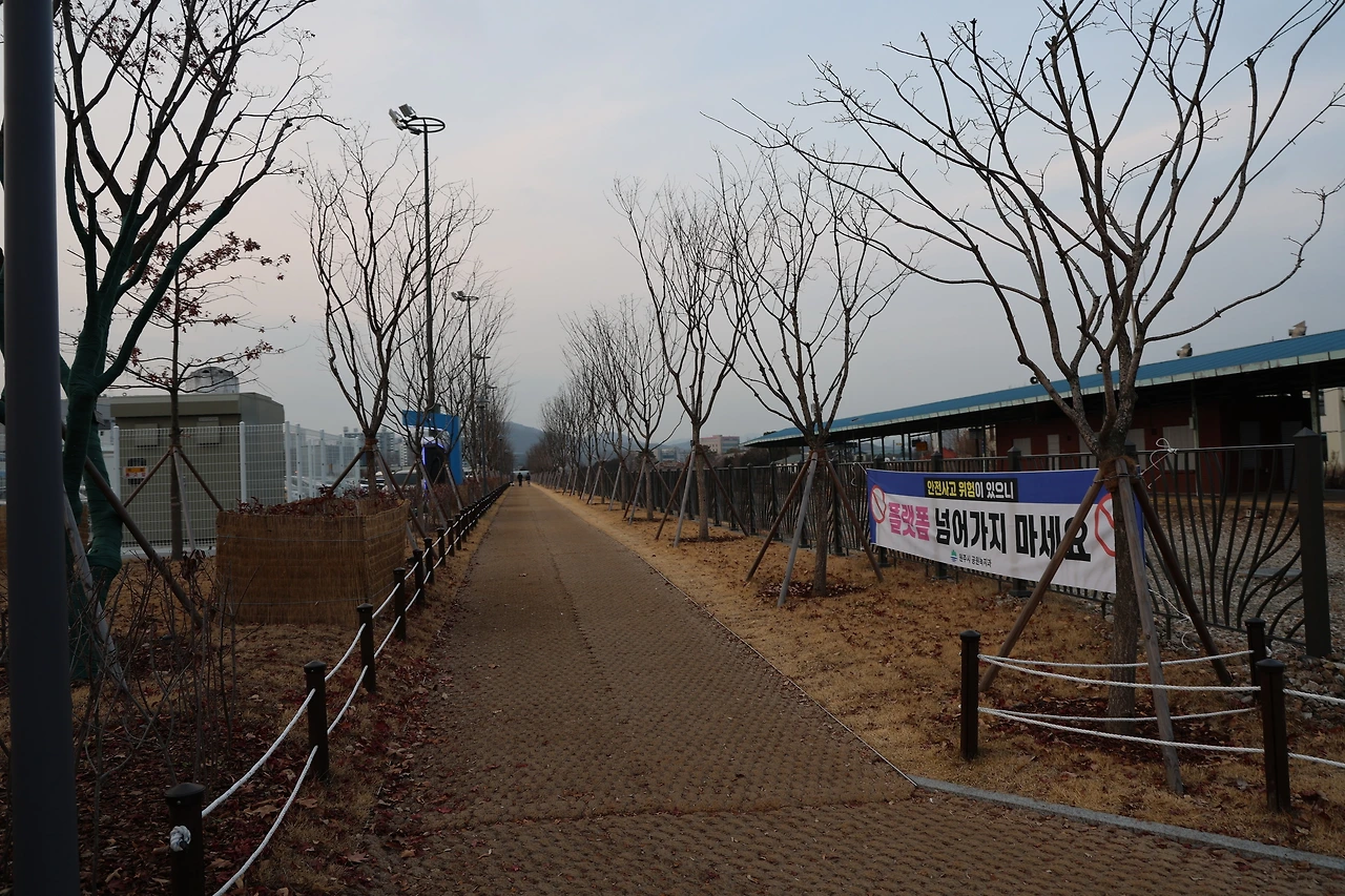 0R5A5951_новый размер.JPG