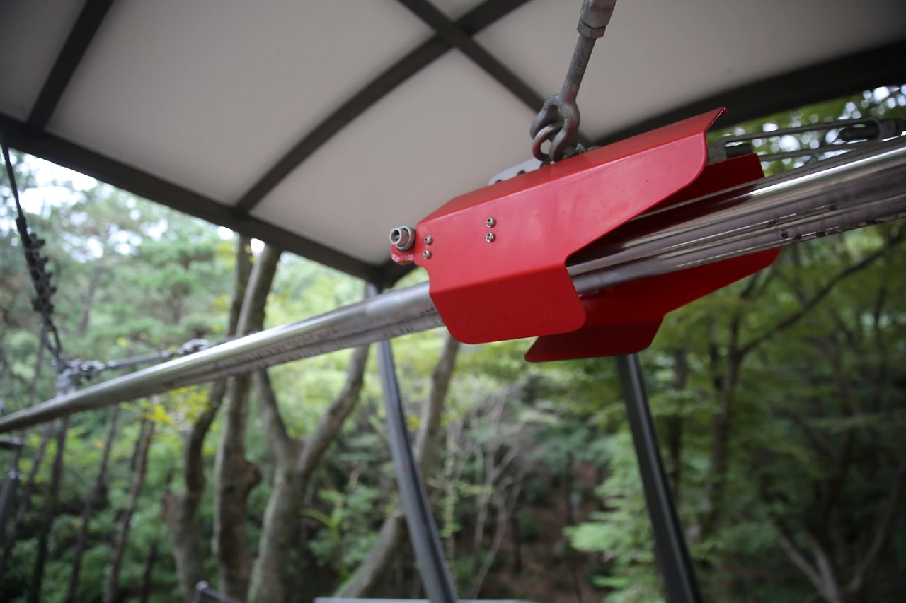 MG0A1049_новый размер.JPG