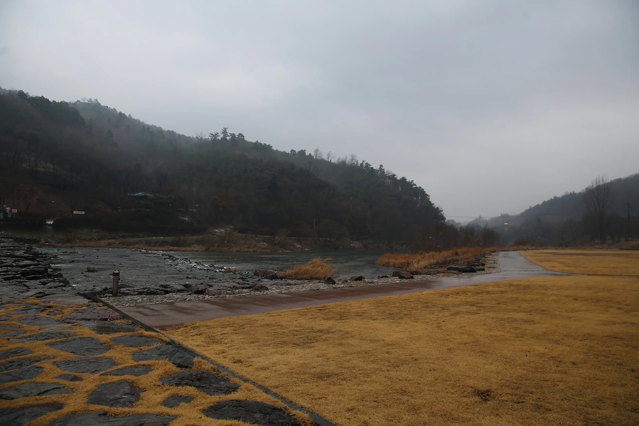 MG0A6168_новый размер.JPG