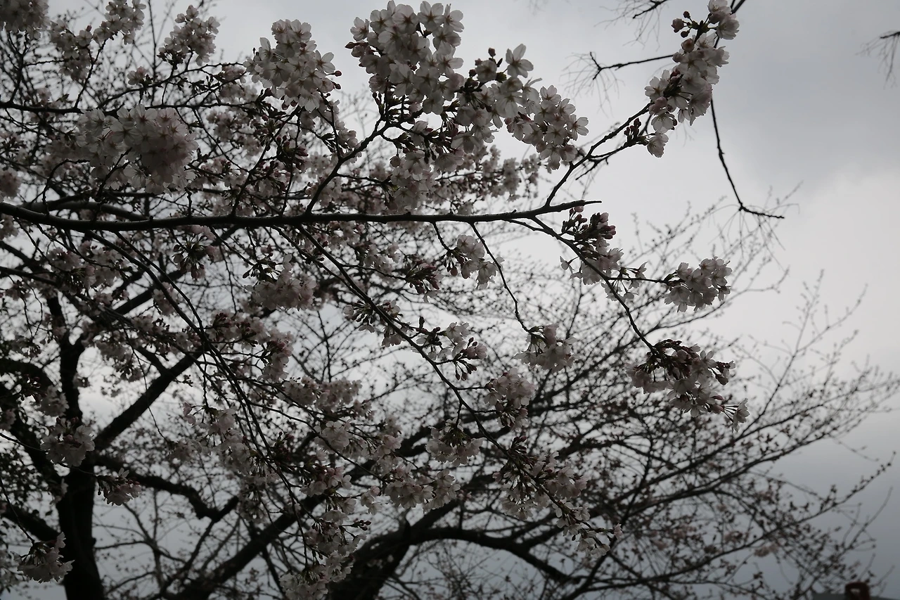 MG0A6209_новый размер.JPG