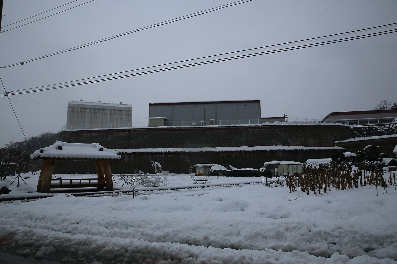 MG0A2121_новый размер.JPG