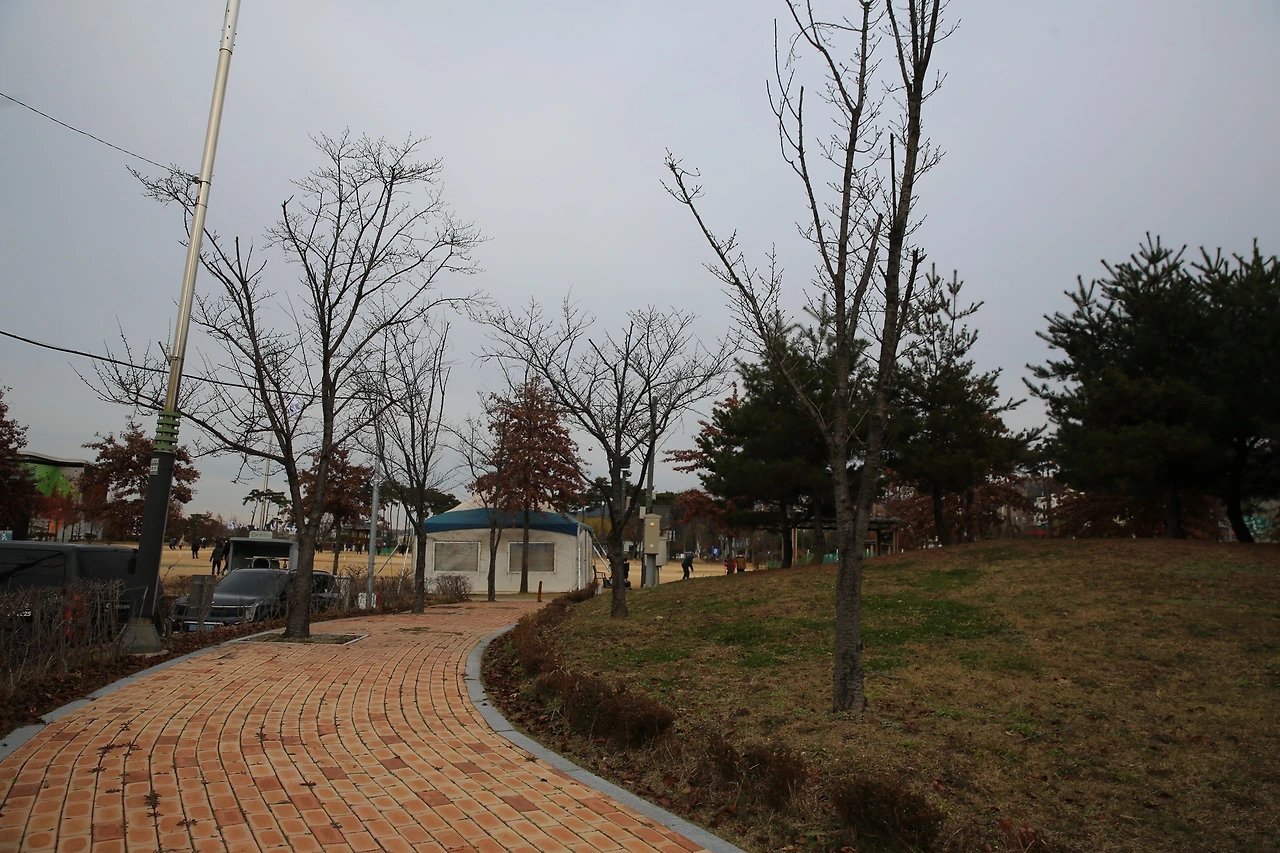 MG0A4449_новый размер.JPG