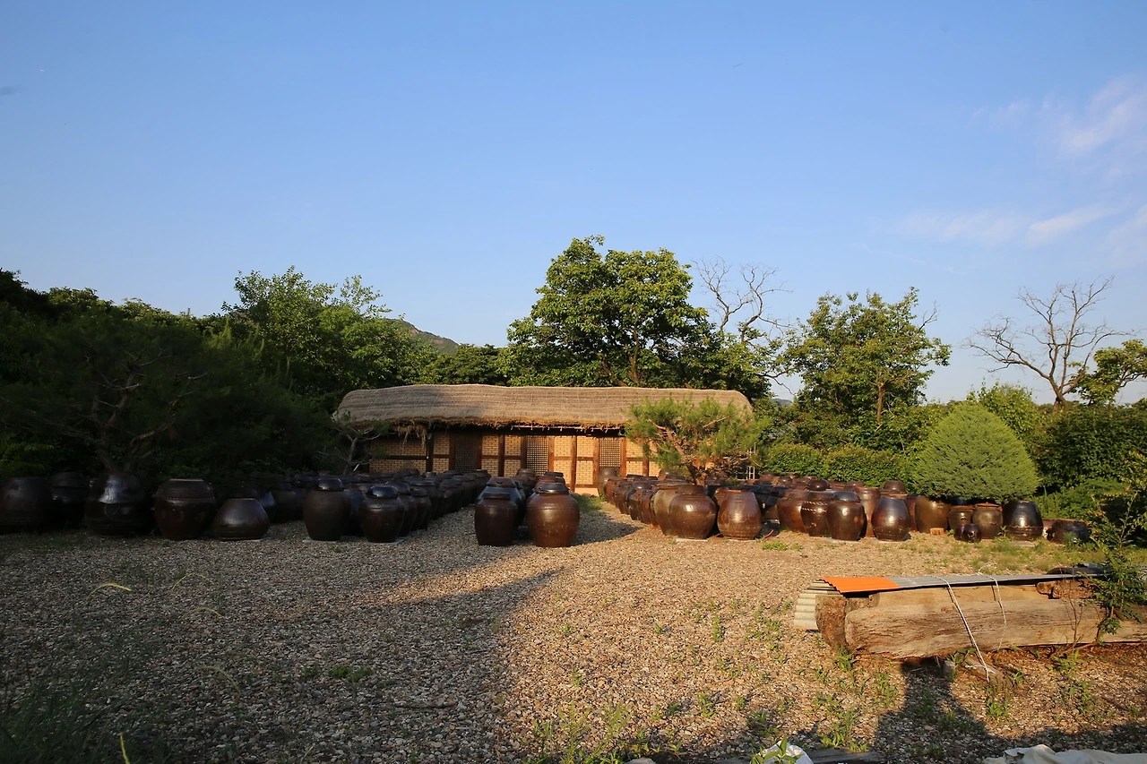 MG0A5278_новый размер.JPG