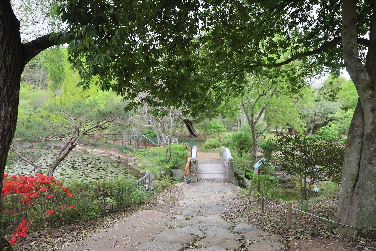 0R5A7587_новый размер.JPG