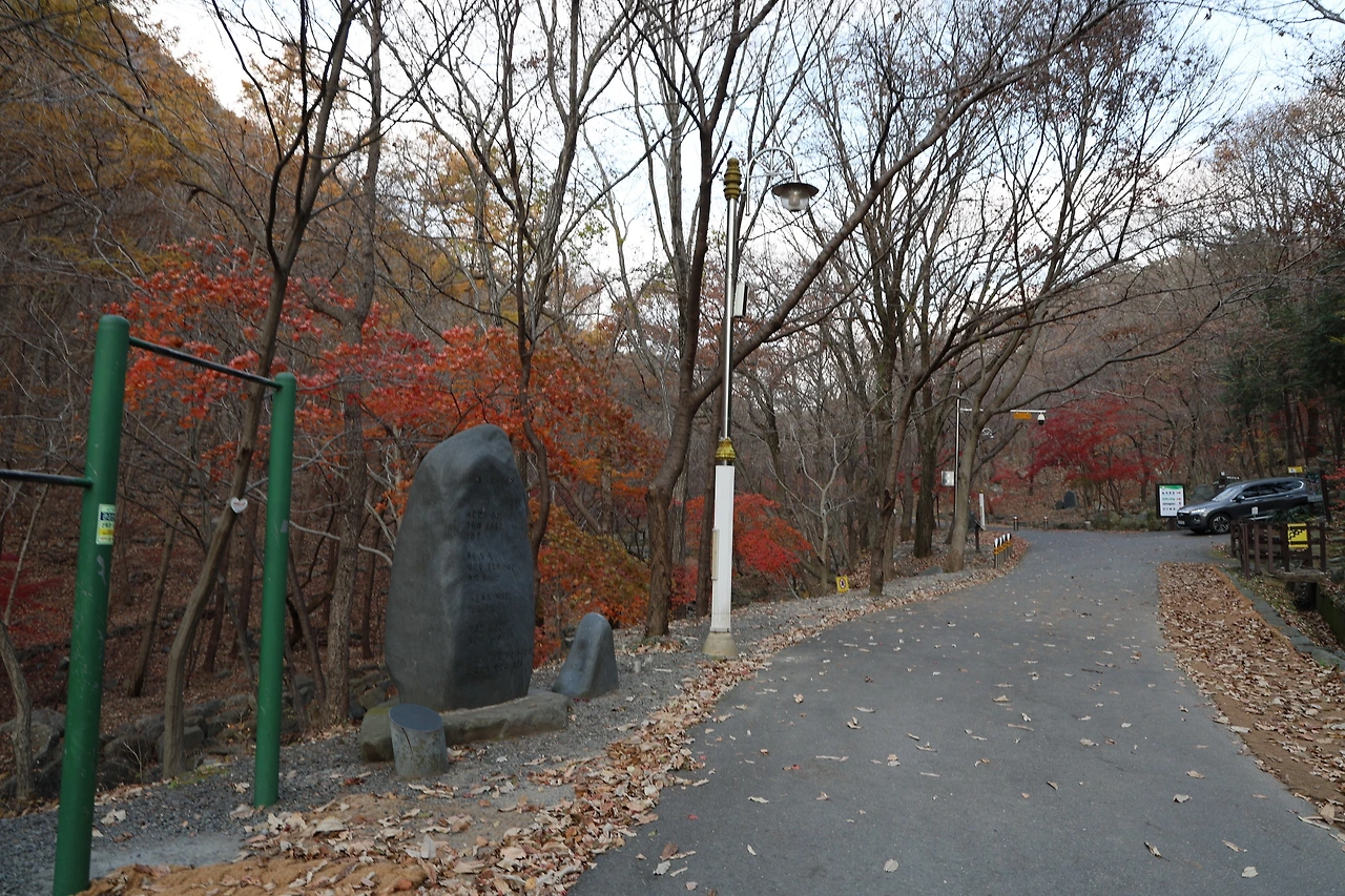 0R5A3135_новый размер.JPG