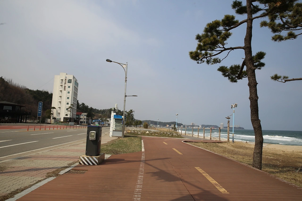 MG0A5381_новый размер.JPG